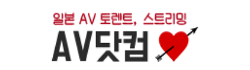 AV닷컴